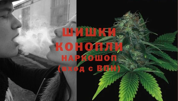 a pvp Белокуриха