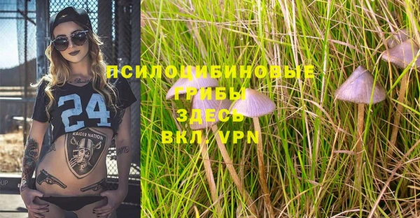 a pvp Белокуриха