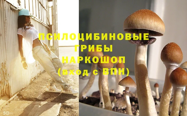 jwh Богородск
