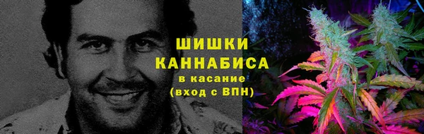 a pvp Белокуриха