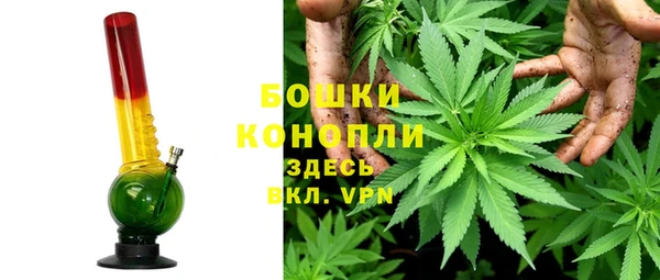 стаф Аркадак