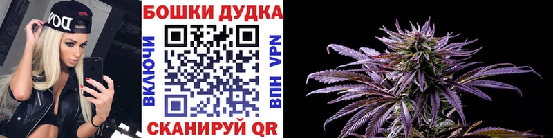 Канабис план  Кимры 